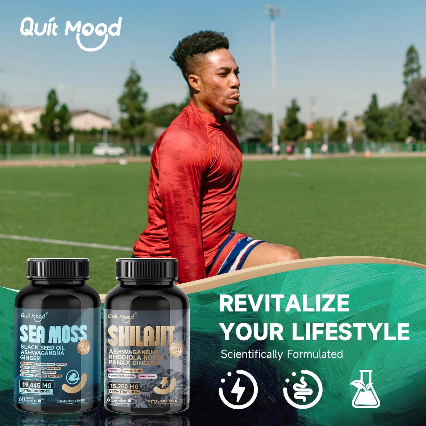 Shilajit 9000 Panax Ginseng 1500MG Ashwagandha 2000MG Rhodiola Rosea 1000MG, Turmeric 500MG, Gingko Biloba 500MG, Stinging Nettl